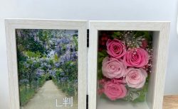 フォトフレームピンク系 プリザーブドフラワー